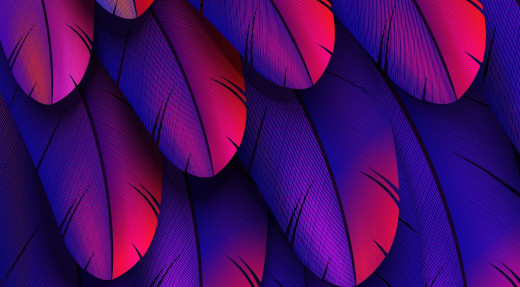 1470604 (a): :5044x2783